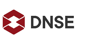 /images/home/v2/partner/dnse.png